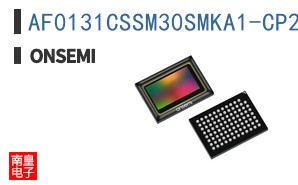 AF0131CSSM30SMKA1-CP2