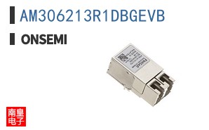 AM306213R1DBGEVB