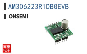 AM306223R1DBGEVB