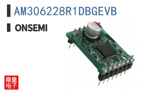 AM306228R1DBGEVB
