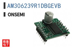 AM306239R1DBGEVB