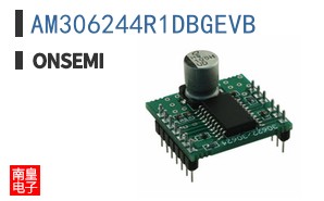 AM306244R1DBGEVB