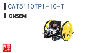 CAT5110TPI-10-T