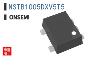 NSTB1005DXV5T5