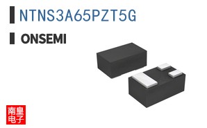 NTNS3A65PZT5G