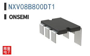 NXV08B800DT1
